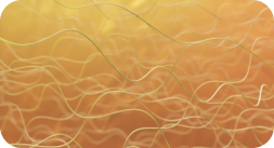 thumbnail (placeholder)